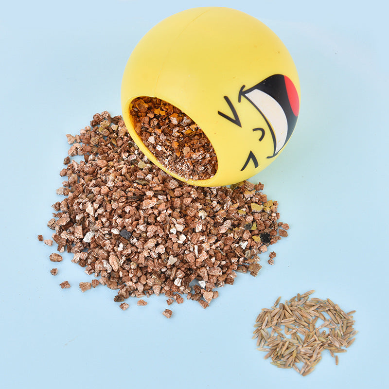 Cute Emoji Grass Planter