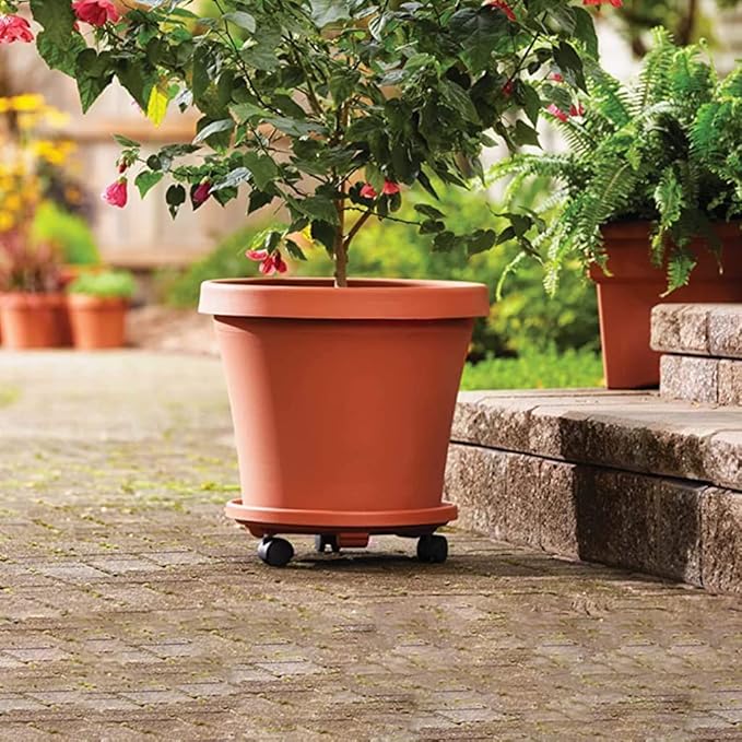 Rolling Plant Stand
