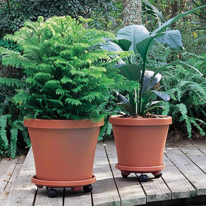 Rolling Plant Stand