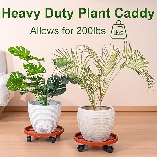 Rolling Plant Stand