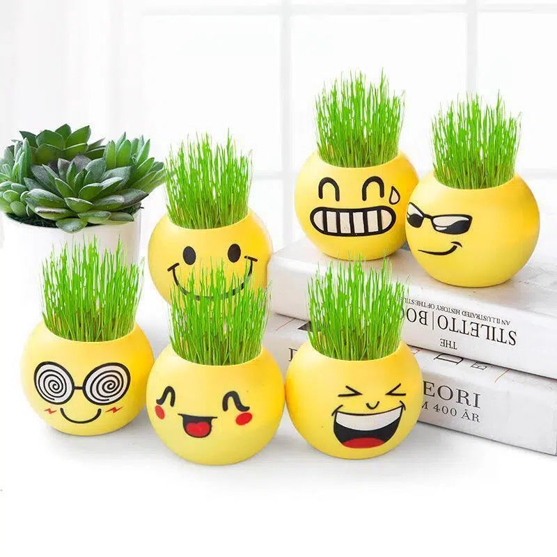Cute Emoji Grass Planter