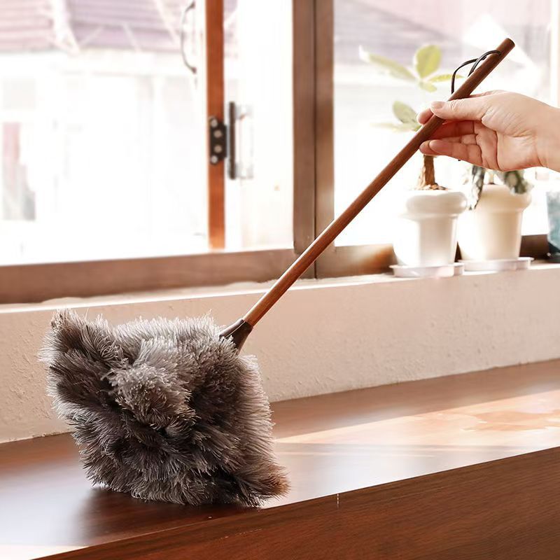 Feather Cleaning Duster