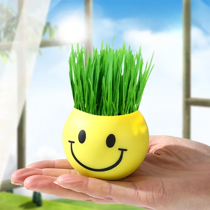 Cute Emoji Grass Planter