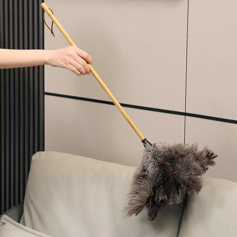Feather Cleaning Duster