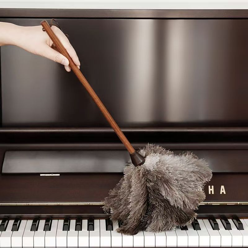Feather Cleaning Duster