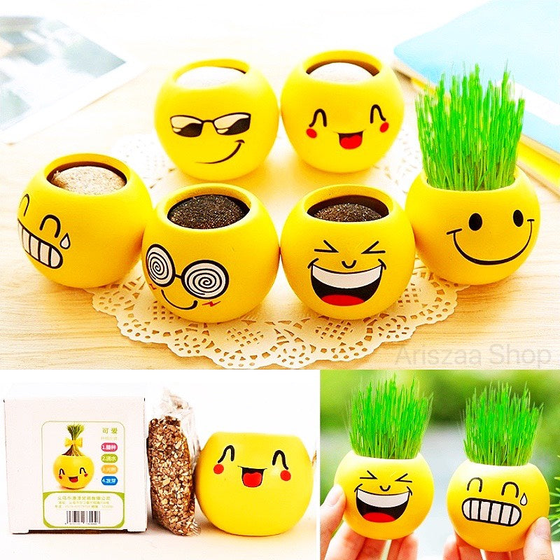 Cute Emoji Grass Planter