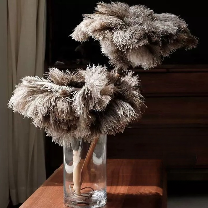 Feather Cleaning Duster